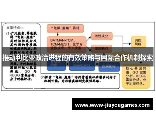推动利比亚政治进程的有效策略与国际合作机制探索