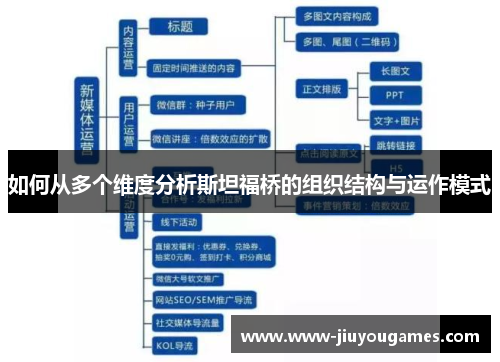 如何从多个维度分析斯坦福桥的组织结构与运作模式